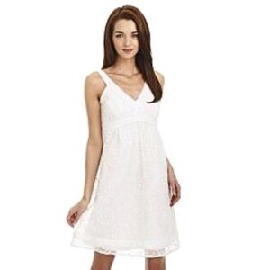 Lilly Pulitzer White Dress Organza Amber Cartwheels Embroidered Size 6